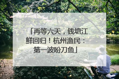 再等六天，钱塘江鲜回归！杭州渔民：第一波盼刀鱼