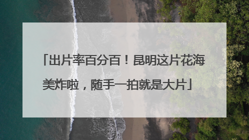 出片率百分百！昆明这片花海美炸啦，随手一拍就是大片