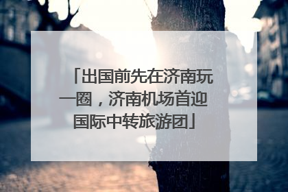 出国前先在济南玩一圈，济南机场首迎国际中转旅游团