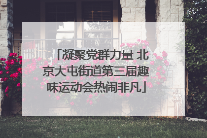 凝聚党群力量 北京大屯街道第三届趣味运动会热闹非凡