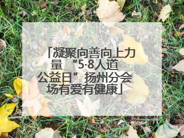 凝聚向善向上力量 “5·8人道公益日”扬州分会场有爱有健康