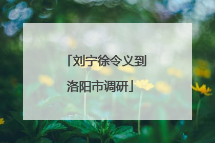刘宁徐令义到洛阳市调研