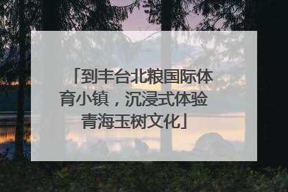 到丰台北粮国际体育小镇，沉浸式体验青海玉树文化