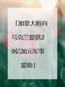 加拿大将向乌克兰提供20亿加元军事援助