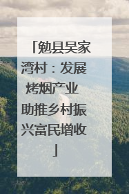 勉县吴家湾村：发展烤烟产业 助推乡村振兴富民增收
