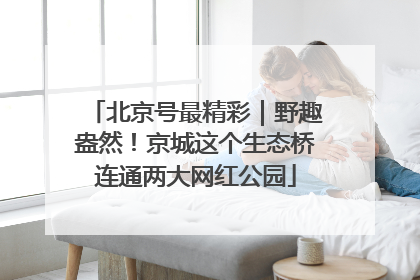 北京号最精彩｜野趣盎然！京城这个生态桥连通两大网红公园
