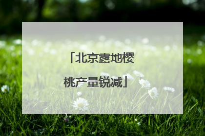 北京露地樱桃产量锐减