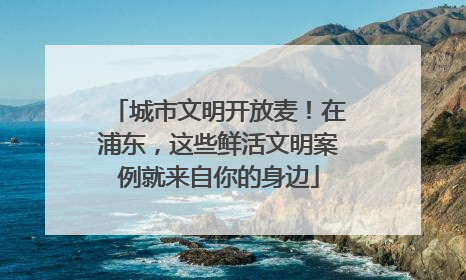 城市文明开放麦！在浦东，这些鲜活文明案例就来自你的身边