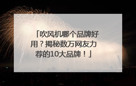 吹风机哪个品牌好用？揭秘数万网友力荐的10大品牌！