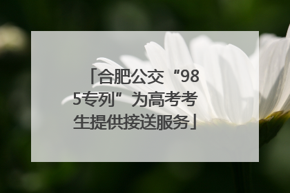 合肥公交“985专列”为高考考生提供接送服务