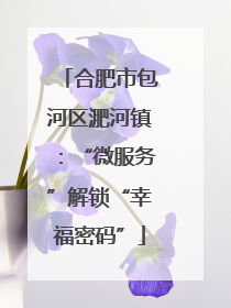 合肥市包河区淝河镇：“微服务”解锁“幸福密码”