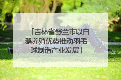 吉林省舒兰市以白鹅养殖优势推动羽毛球制造产业发展