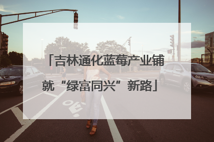 吉林通化蓝莓产业铺就“绿富同兴”新路