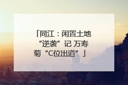 同江：闲置土地“逆袭”记 万寿菊“C位出道”