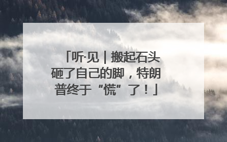 听·见｜搬起石头砸了自己的脚，特朗普终于“慌”了！