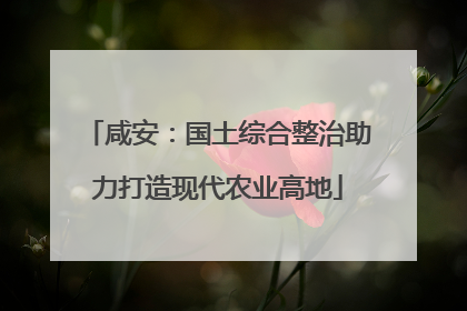 咸安：国土综合整治助力打造现代农业高地