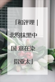 和评理｜北约抹黑中国 意在染指亚太