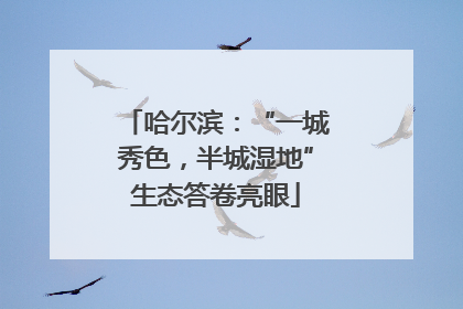 哈尔滨：“一城秀色，半城湿地”生态答卷亮眼
