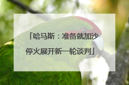 哈马斯：准备就加沙停火展开新一轮谈判