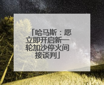 哈马斯：愿立即开启新一轮加沙停火间接谈判