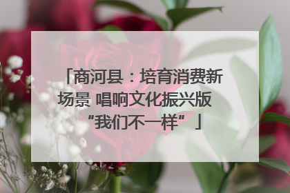 商河县：培育消费新场景 唱响文化振兴版“我们不一样”