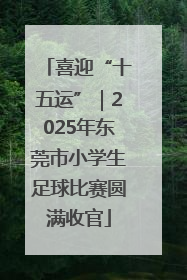 喜迎“十五运”｜2025年东莞市小学生足球比赛圆满收官
