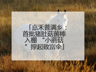 嘉禾普满乡：首批猪肚菇菌棒入棚 “小蘑菇”撑起致富伞