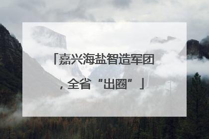 嘉兴海盐智造军团，全省“出圈”
