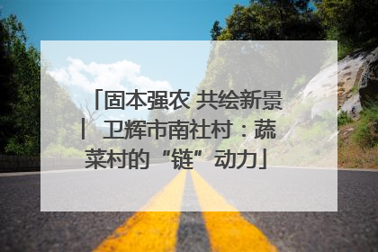 固本强农 共绘新景 ︳卫辉市南社村：蔬菜村的“链”动力