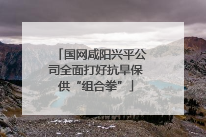 国网咸阳兴平公司全面打好抗旱保供“组合拳”