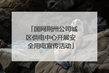 国网荆州公司城区供电中心开展安全用电宣传活动