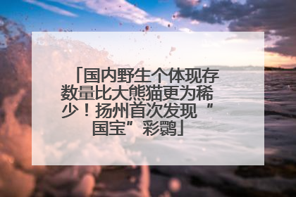 国内野生个体现存数量比大熊猫更为稀少！扬州首次发现“国宝”彩鹮