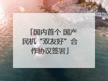 国内首个 国产民机“双友好”合作协议签署
