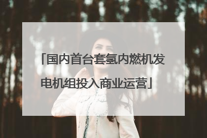 国内首台套氢内燃机发电机组投入商业运营