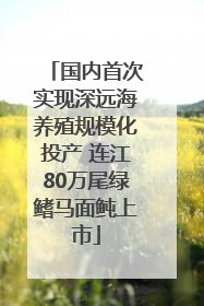 国内首次实现深远海养殖规模化投产 连江80万尾绿鳍马面鲀上市