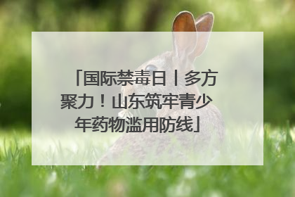 国际禁毒日丨多方聚力！山东筑牢青少年药物滥用防线