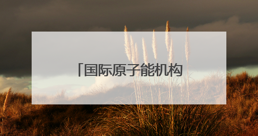 国际原子能机构警告以色列 以媒：“前所未有”