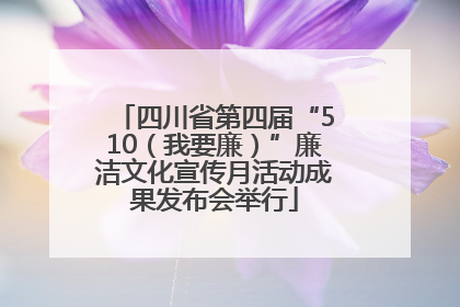 四川省第四届“510（我要廉）”廉洁文化宣传月活动成果发布会举行