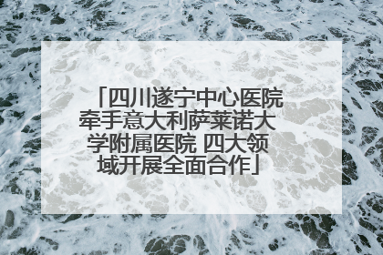 四川遂宁中心医院牵手意大利萨莱诺大学附属医院 四大领域开展全面合作