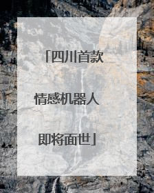 四川首款情感机器人即将面世