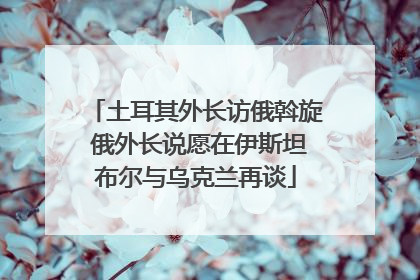 土耳其外长访俄斡旋 俄外长说愿在伊斯坦布尔与乌克兰再谈