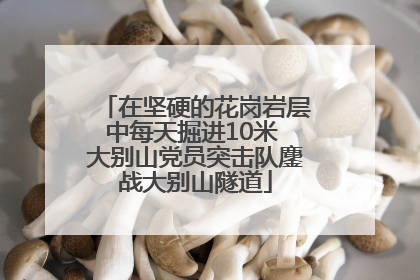 在坚硬的花岗岩层中每天掘进10米 大别山党员突击队鏖战大别山隧道