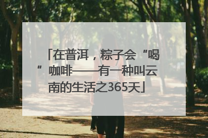 在普洱，粽子会“喝”咖啡——有一种叫云南的生活之365天