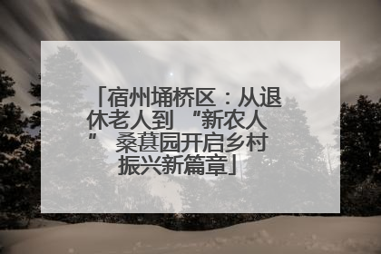 宿州埇桥区：从退休老人到 “新农人” 桑葚园开启乡村振兴新篇章