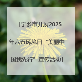 宁乡市开展2025年六五环境日“美丽中国我先行”宣传活动