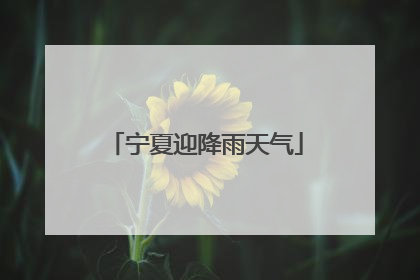 宁夏迎降雨天气