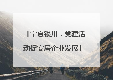 宁夏银川：党建活动促安居企业发展