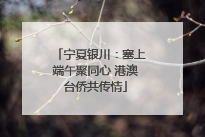 宁夏银川：塞上端午聚同心 港澳台侨共传情