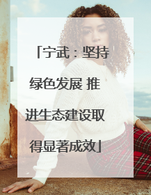 宁武：坚持绿色发展 推进生态建设取得显著成效