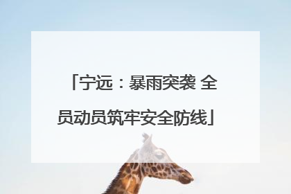 宁远：暴雨突袭 全员动员筑牢安全防线